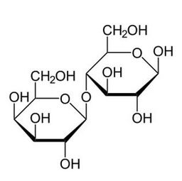 乳糖酶 普正生物质量可靠 乳糖酶OEM